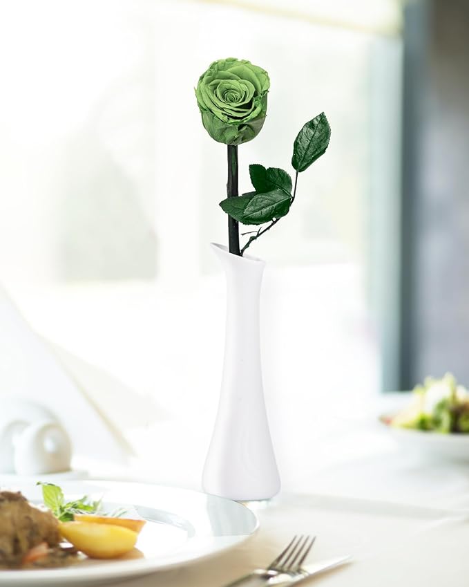 Green Flowers for Delivery Prime, Preserved Green Roses Flower Gifts for Women, Real Roses Single Rose Gifts for Her, Mom Birthday Gifts from Daughter, Valentines Flowers
