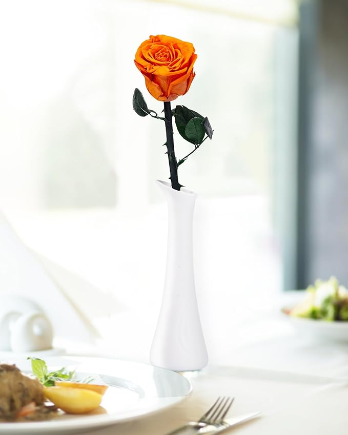 Orange Flowers for Delivery Prime, Preserved Orange Roses Flower Gifts for Women, Real Roses Single Rose Gifts for Her, Mom Birthday Gifts from Daughter, Valentines Flowers