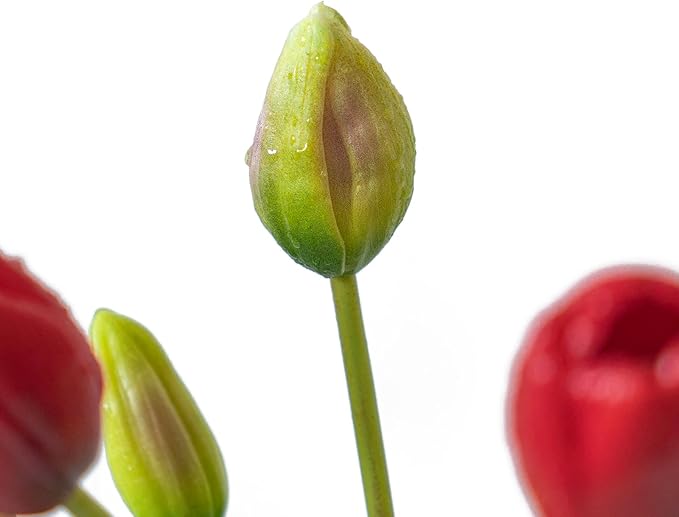 15pcs Artificial Tulips Flowers, Real Touch Latex Bouquet, Fake Tulips for Office Wedding Party Home Kitchen Garden Decoration-B Red