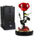 Christmas Flower Gifts for Women,Mom Gifts,Beauty and The Beast Rose in Glass Dome,Preserved Rose with Lights,Flower for Delivery Prime,Forever Flowers Birthday Gifts for Women Mom Wife Girlfriend