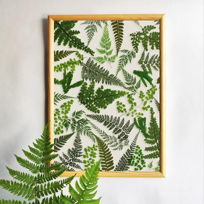 55 Pcs Green Leaves Ferns Dried Pressed Flowers for Crafts,Real Nature Dry Flower Bulk for Resin Jewelry Making Candle Making Frame Decoration Art Floral Decors