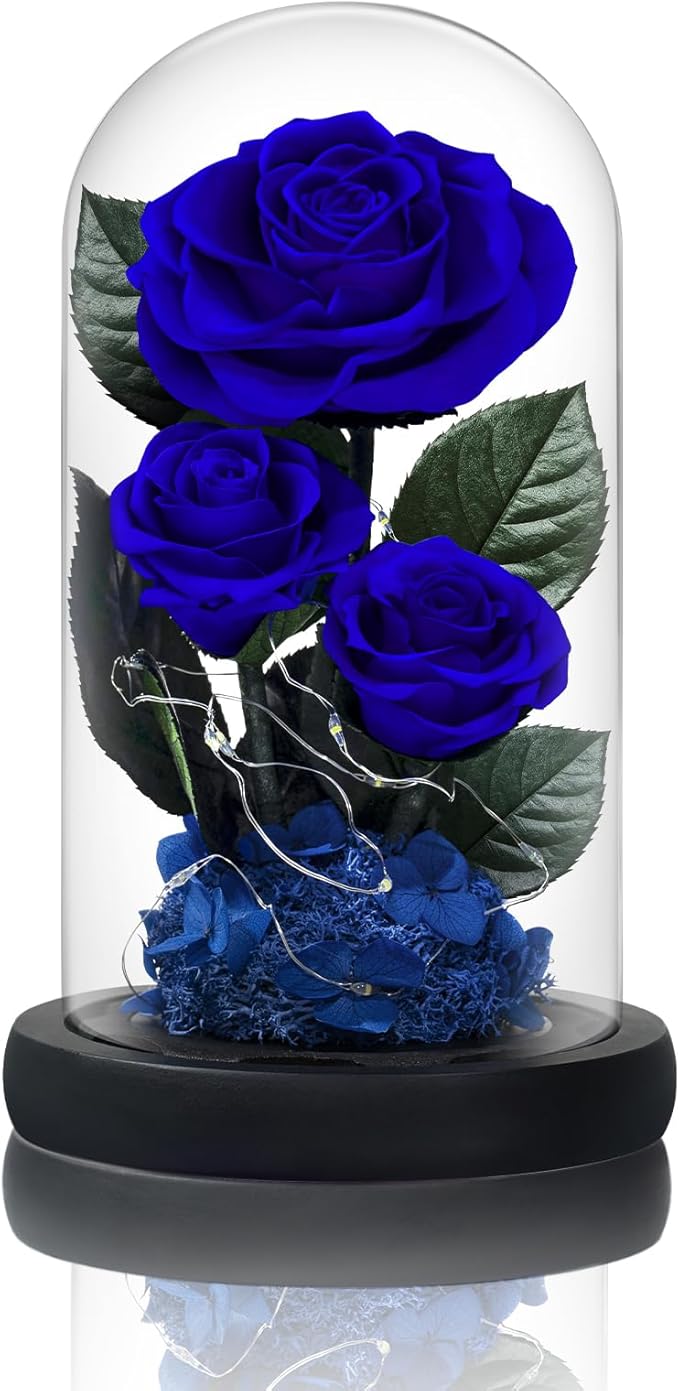 3 Preserved Flowers Roses in Glass Dome with Light for Beauty and The Beast Decor Real Rosas Eternas for Women Mom Birthday,Forever Blue Roses for Delivery,Christmas for Wife Girlfriend Her