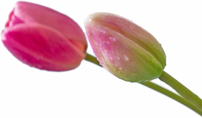 15pcs Artificial Tulips Flowers, Real Touch Latex Bouquet, Fake Tulips for Office Wedding Party Home Kitchen Garden Decoration-B Peachblow