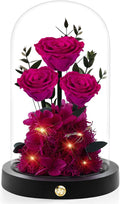 Christmas Flowers Roses Gifts for Mom,Forever Real Preserved Roses in Glass Dome,Christmas Anniversary Thanksgiving Gifts for Wife Girlfriend Women Best Friend Grandma/Rose