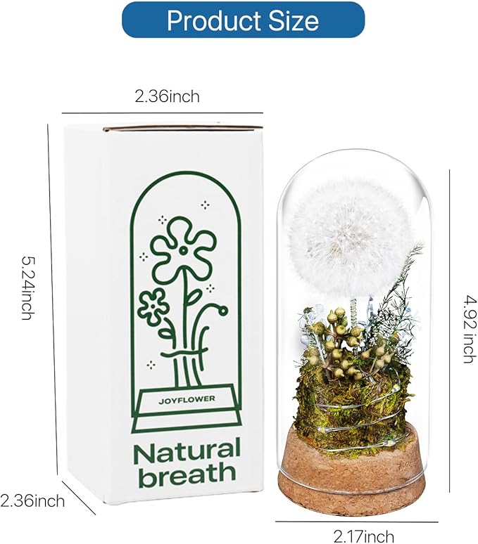 JoyFlower Preserved Dandelion in Glass Dome, Real Dandelion Eternal Flowers Gifts for Women, Preserved Flower Friendship Gifts for Girlfriend Best Friend Sisters Daughter Birthday Graduation Gift