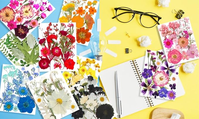301Pcs Multi-Style Dried Pressed Flowers & Leaves (10 Packs) - Pressed Flower for Crafts, Resin, Nail Art, Candle, Soap, Scrapbooking & Frame Decor