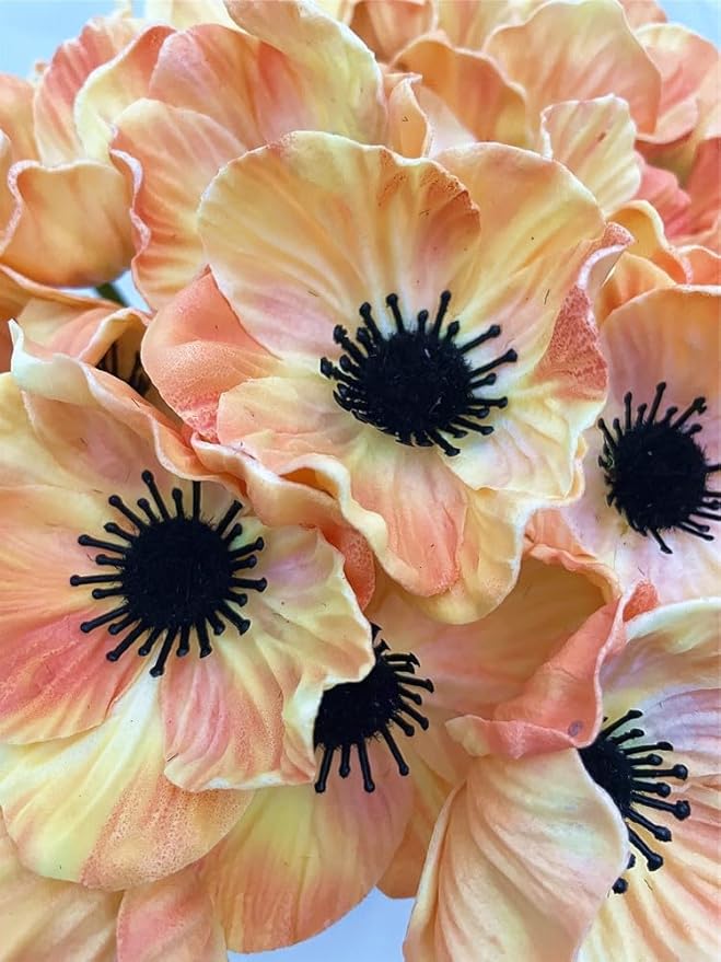 14Pcs Real Touch Anemone Poppy Bouquet for Artificial Flower Decor Kitchen Table Centerpiece Vase Home Greenery Wedding Holding Flowers Backdrop Arch Wall (Champagne)