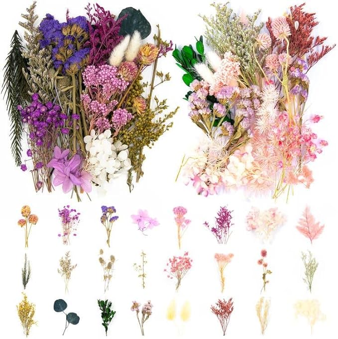 Vignee Real Dried Pressed Leaf Flowers-Multiple Colorful Pressed Flowers Daisies for Craft Resin Jewelry Making Art Craft DIY（Violet&Light Pink）