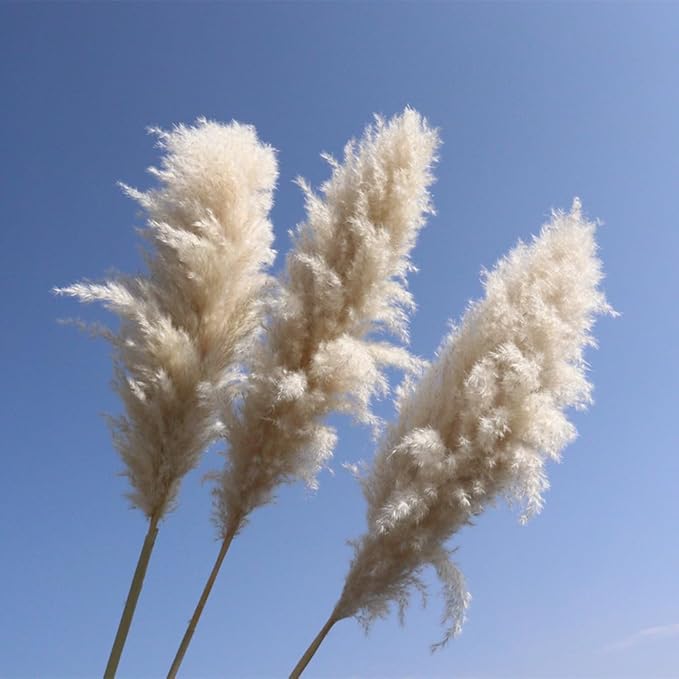 40-inch 20 Stems Tall Pampas Grass Decor. Tall Pampas Dried Flower Decor. Large Pampas Boho Home Decor Bouquet, Fluffy Pampas Grass, for Living Room, Wedding, Party,Home Decor