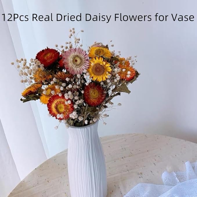 12Pcs Natural Dried Daisy Flowers Stems - Real Natural Dried Flowers Bouquet for Vase, Farmhouse Rustic Wedding Home Decor, DIY Handmade Dry Flower Arrangement, Gardening, Gift, Multi-Colored