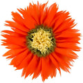Hand-Stitched Round Decorative Flower Pillow Vibrant Orange 3D Sunflower Velvet Throw Pillow Cute Soft Floral Accent Cushion Boho Farmhouse Home Decor for Couch Bed Living Room Bedroom 14Inch