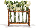 Tozai Home WTR006 Natural Bamboo Vase Includes 5 Glass Tubes