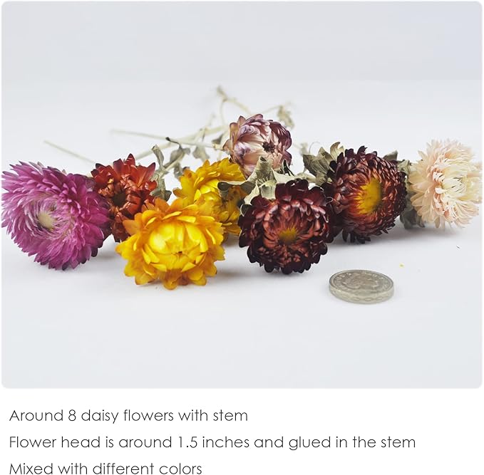 L'BREVOGA Dried Flower Bouquets, Natural Dried Daisy, Chrysanthemums with Baby’s Breath for Floral Arrangement Home Decoration Party Gift (Daisy)