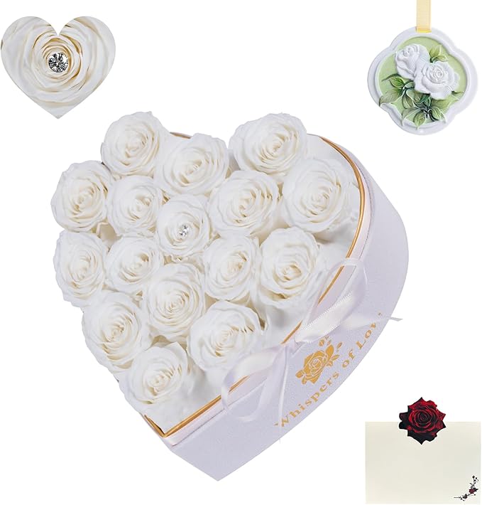 Luxury Preserved Roses – Forever Real Roses Flowers for Delivery in a White Box, Preserved Flowers Birthday Gifts for Women Mom Wife, Ideal for Anniversary (White 16 Roses, 16 Roses)