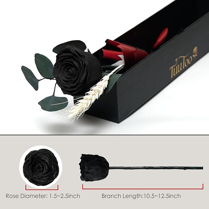 Forever Flower, Preserved Rose Birthday Gifts for Women, Her, Wife, Mom, Prime Eternal Roses Gifts for Mothers Day, Valentines Day, Anniversary, Graduation, Wedding, Single Rose Real Rose (Black)