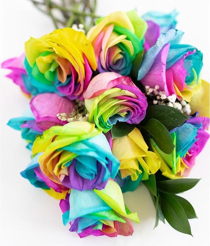 From You Flowers - One Dozen Wild Rainbow Roses with Glass Vase | Fresh Flower Bouquets for Birthday, Anniversary, Get Well or Celebration