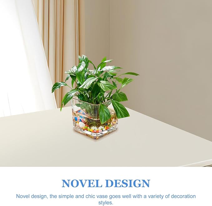 SMASOLO Clear Hydroponic Glass Cube Vase Thickened Square Flower Planter Decorative Hydroponic Flower Container for Home Office Table Centerpiece
