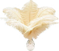 Piokio 20pcs Natural Champange Ostrich Feathers 10-12 inch (25-30cm) Bulk Feathers for Wedding Party Centerpieces, Home Decoration and DIY Clothing, Gatsby Decorations