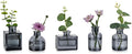 Glasseam Gray Glass Bud Vase: Mini Small Vases for Centerpieces Cute Flower Vase Set of 5 Tiny Vases for Flowers Decorative Centerpiece Table Decor for Wedding Party Dining Room Decoration