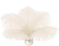 Piokio 20 pcs Champange Ostrich Feathers Plumes 8-10 inch(20-25 cm) Bulk for DIY Clothes, Feather Pens, Dream Catcher, Gatsby Decorations