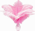 Piokio 20pcs Pink Ostrich Feathers 10-12 inch (25-30cm) Bulk Feathers for Home Decoration and DIY Clothes Decoration, Gatsby Decorations
