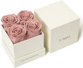 Rosaura 4-Piece Eternal Preserved Roses & Flowers Gift Box - Forever Lasting Real Roses, Preserved Flowers for Valentine's Day Cappuccino