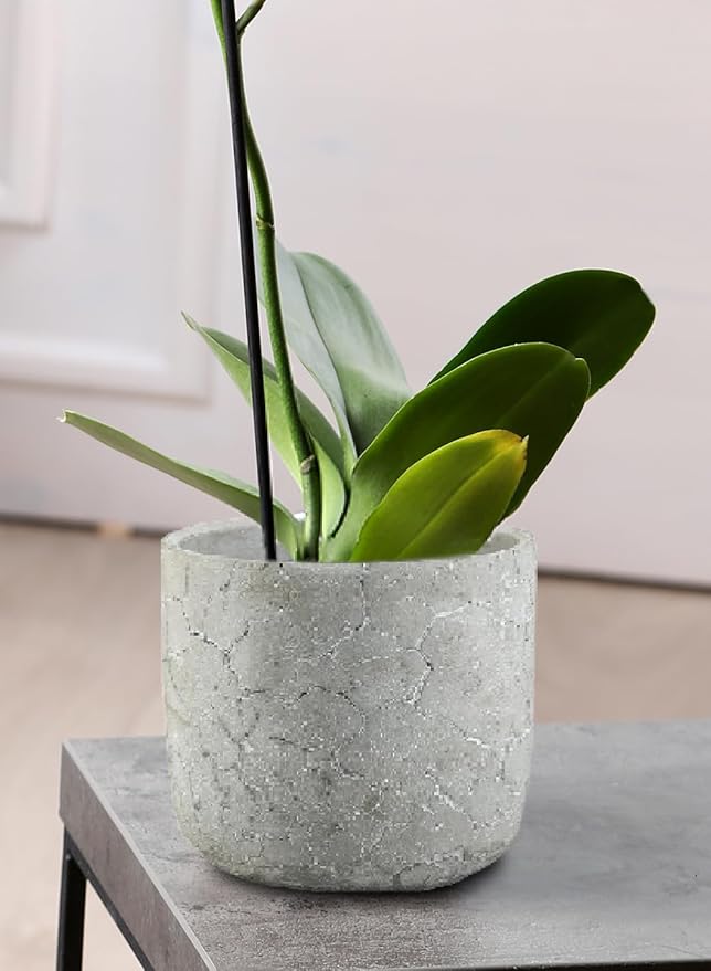 Serene Spaces Living CrackleStone Rustic Cement Vase, Decorative Planter with Cracked Texture, Perfect for Succulents, Small Plants, or Floral Arrangements, 7" Diameter & 6" Tall