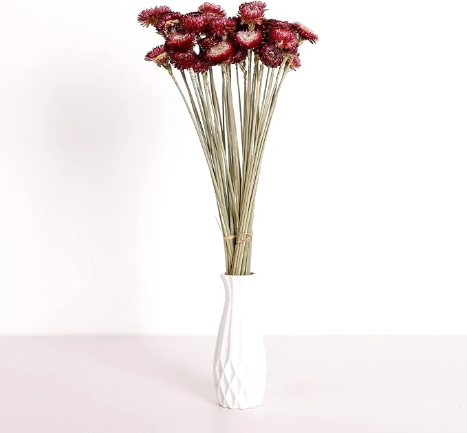 Dried Flower 40PCS Daisy Bouquet 100% Natural Chrysanthemum Dry Flower with Stem for Vase Home décor Party DIY Arrangement Wheat Straw Bulk (Burgundy)