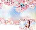 Renaiss 7x5ft Cherry Blossom Floral Backdrop Pink Flower Sunshine Bokeh Romantic Nature Scenery Photography Background for Wedding Bridal Shower Birthday Party Decor Photo Booth Props