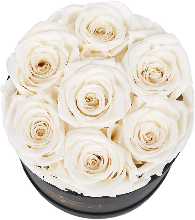 NATROSES 7 Piece Preserved Roses in a Box, Preserved Flowers for Birthday, Flower Gifts for Mothers Day (White)