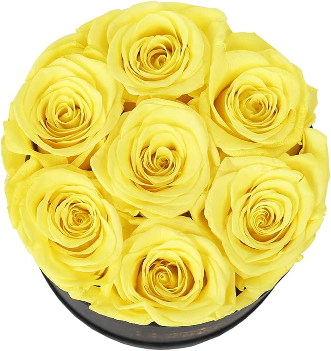 NATROSES 7 Piece Preserved Roses in a Box, Preserved Flowers for Birthday, Flower Gifts for Mothers Day (Yellow)