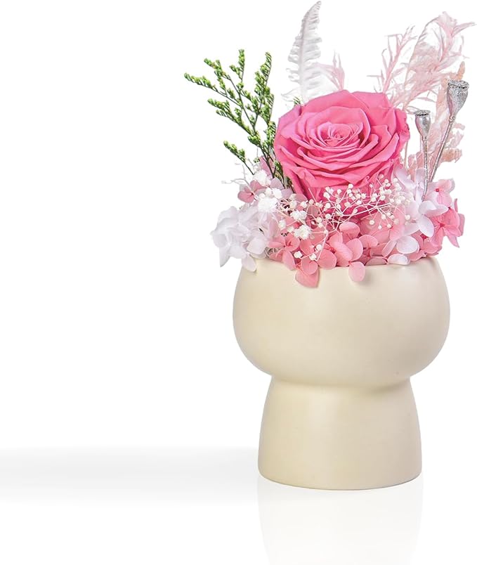Preserved Floral Gift Set, Everlasting Rose in Small Ceramic Pot - Lasting Beauty for Home Table Decor, Mother's Day, Valentine's Day, Birthday, and Anniversary (Pink)