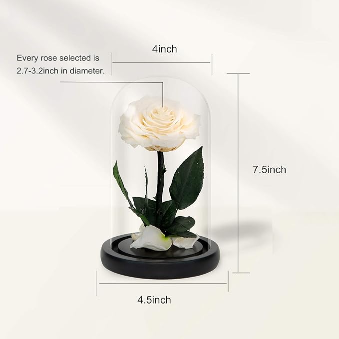 NATROSES Handmade Preserved Roses in Glass Dome, White Roses, Preserved Flowers Gifts for Women, Mothers Day Flowers