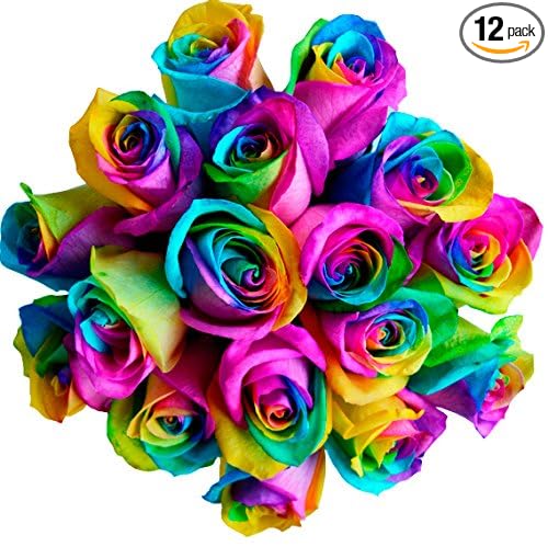 Fresh Rainbow Roses Bouquet - 12 Premium Stems by Flower Explosion