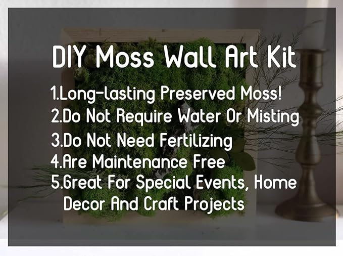 Preserved Sheet Moss Natural Green Decorative Real Natural Green DIY Kit Gardenning Art Wall Decor Florist Decor Easter Table Decor Wedding 2 sq.ft.Green-B