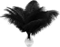 Piokio 10 pcs Natural Black Ostrich Feathers 14-16 inch(35-40 cm) Bulk for DIY Halloween Decorations, Wedding Party Centerpieces, Gatsby Decorations