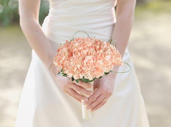 Champagne Carnations Artificial Flowers 15PCS 21.25in Carnations Silk Flowers for Wedding Home Table Centerpieces Floral Arrangements Decor(Champagne)