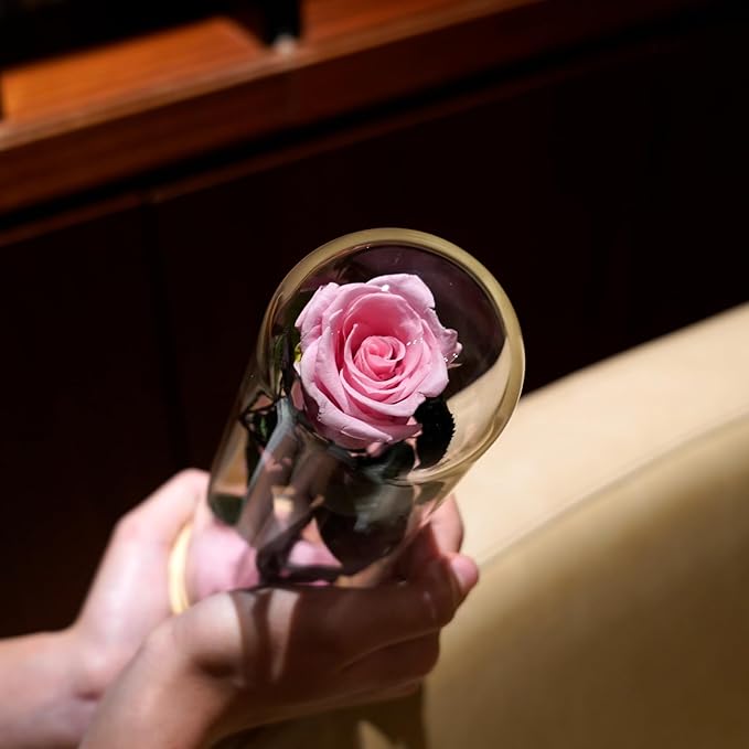 9.8 inches Preserved Rose in Glass Dome Rose with Green Leaves Eternal Love and Natural Beauty for Grandma Mom Girlfriend Classmate Friend Lover (Pink)