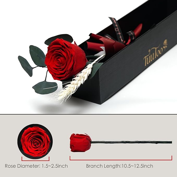 Forever Flower, Preserved Rose Birthday Gifts for Women, Her, Wife, Mom, Prime Eternal Roses Gifts for Mothers Day, Valentines Day, Anniversary, Graduation, Wedding, Single Rose Real Rose (Red)