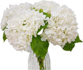 4-Packet White Hydrangea Artificial Flowers Faux Hydrangea Flowers Real Touch Home Bathroom Office Kitchen Dining Room Arrangements End Table Centerpiece Shelf Decorations