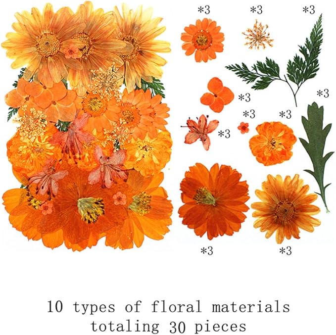 60 Pieces Fall Dried Pressed Flowers Orange Natural Dry Flowers for Crafts,Resin Mold,Scrapbooking,Candle,Soap Making,Embellishment Decorations