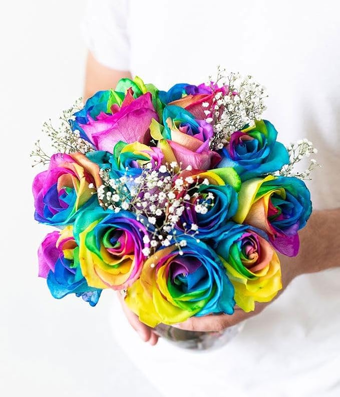 From You Flowers - One Dozen Wild Rainbow Roses with Glass Vase | Fresh Flower Bouquets for Birthday, Anniversary, Get Well or Celebration
