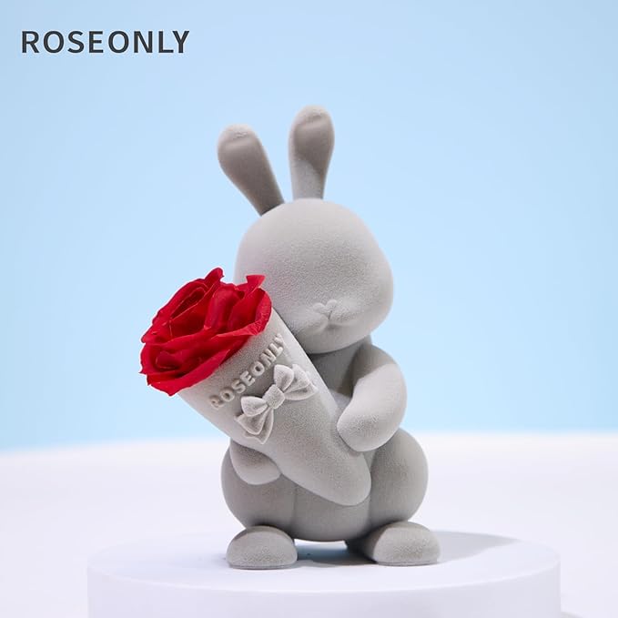 roseonly. Preserved Rose with Sweet Bunny, Eternal Flowers Gifts for Women Girlfriend Wife Mothers Real Roses for Valentine's Day Christmas Birthday Mother's Day Anniversary (Mini)