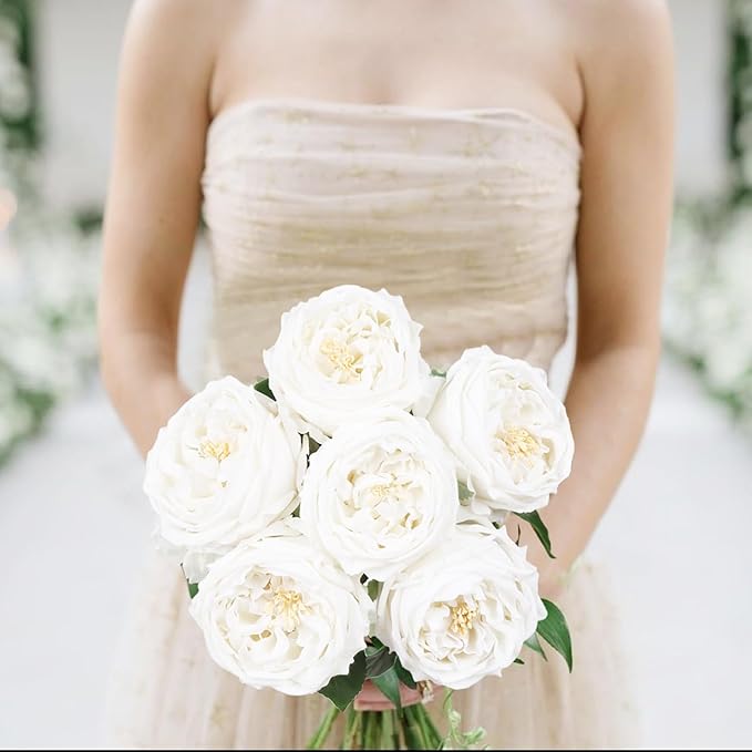 IPOPU White Roses Artificial Flowers,5PCS Real Touch Austin Roses Faux Peony Flowers Stems for Wedding Bouquet Party Home Decor(White)