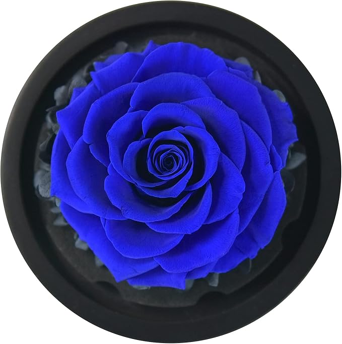 SW Rose Flower Birthday Gifts for Women,Forever Preserved Real Rose in Glass Dome Gift Flower,Women Gifts Eternal Heart Design Present for Valentines Day Mothers Day Christmas Anniversary Mom