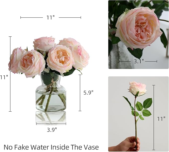 6Pcs Fake Austin Rose Peonies Flowers with Vase, Clear Glass Vase with Pink Real Touch Peonies Artificial Flowers Home Decor(Pink)