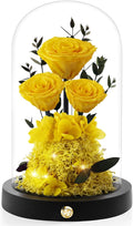 Christmas Flowers Roses Gifts for Mom,Forever Real Preserved Roses in Glass Dome,Christmas Anniversary Thanksgiving Gifts for Wife Girlfriend Women Best Friend Grandma/Yellow Rose