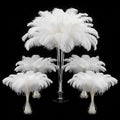 Lamar 100 Pcs White Ostrich Feathers 14-16'' 12-14'' 10-12'' 8-10'' Bulk for Wedding Centerpieces, Event Decor, Floral Arrangement, Home Decor (White)