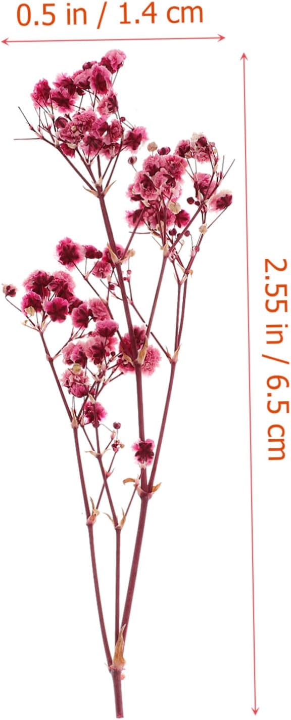 Natural Dried Flowers DIY Craft Kit Real Flower Bouquet Accessories for Photo Frame Making Floral Decorations for Wedding Home Party and Interior Styling