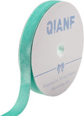 Vintage Turquoise Blue Velvet Ribbon, 1 Inch X 25Yd